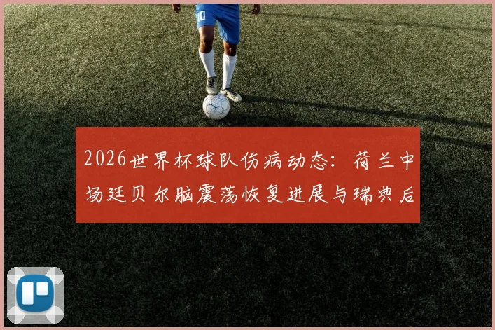 2026世界杯球队伤病动态：荷兰中场廷贝尔脑震荡恢复进展与瑞典后卫史密斯缺阵影响深度剖析