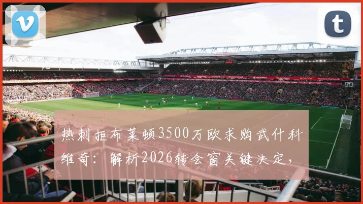 热刺拒布莱顿3500万欧求购武什科维奇:解析2026转会窗关键决定,球员未来前景深度分析